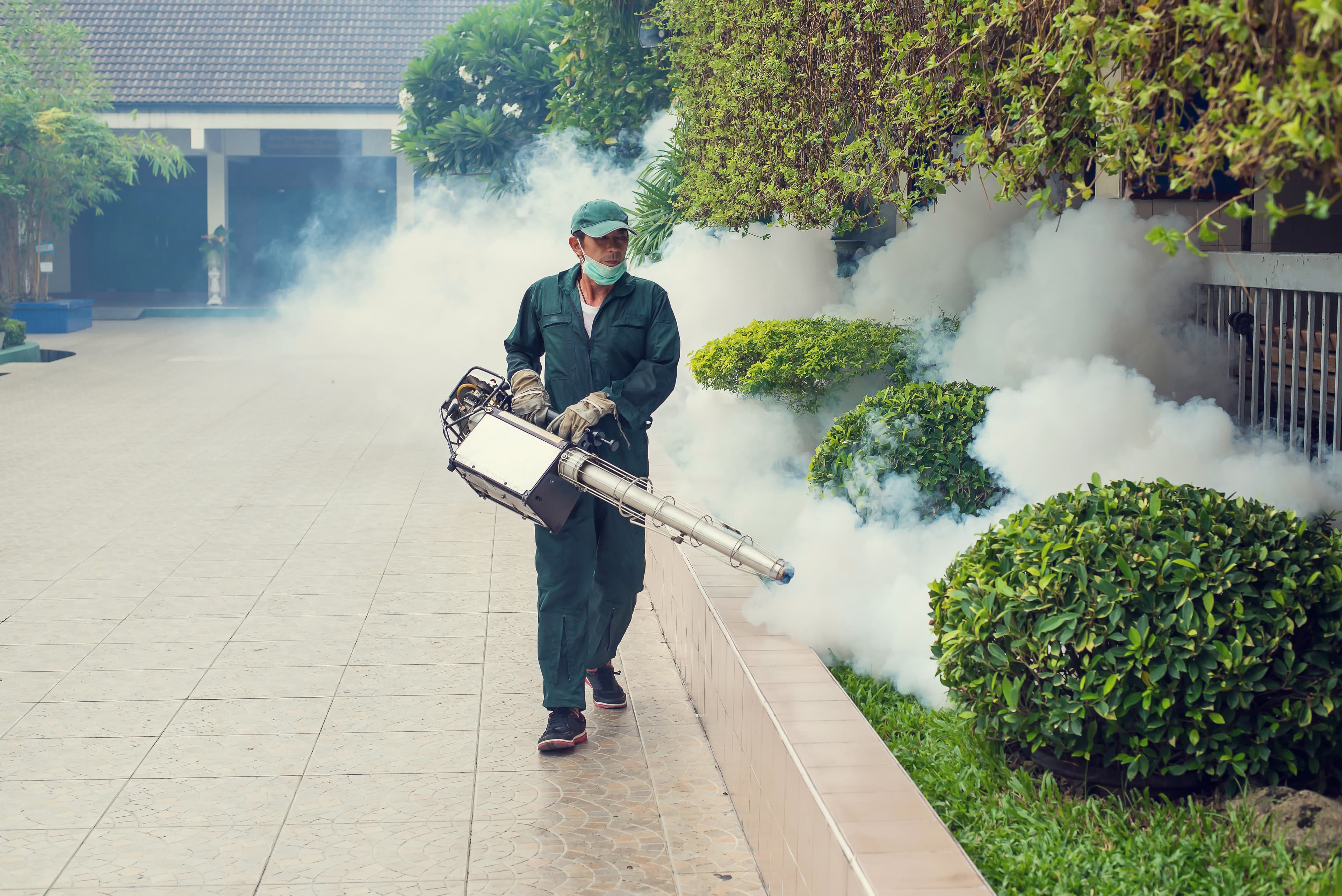imagen Fumigación